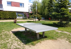 Pienista 41