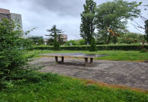 os. 2 Pułku Lotniczego 49