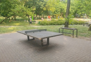 Park Zaruskiego